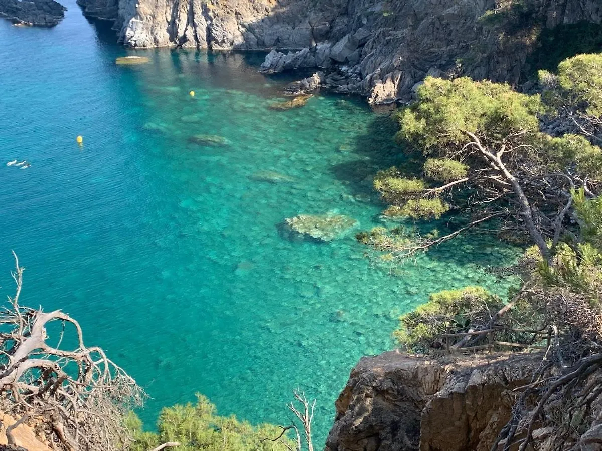 Apartment Tamariu Elvira Just 200M Far From The Beach
